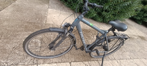 Falter C 4.0 Plus 2020 heavy duty bike’