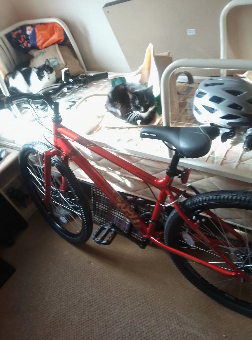 Apollo Evade Mens Mountain Bike 2023
