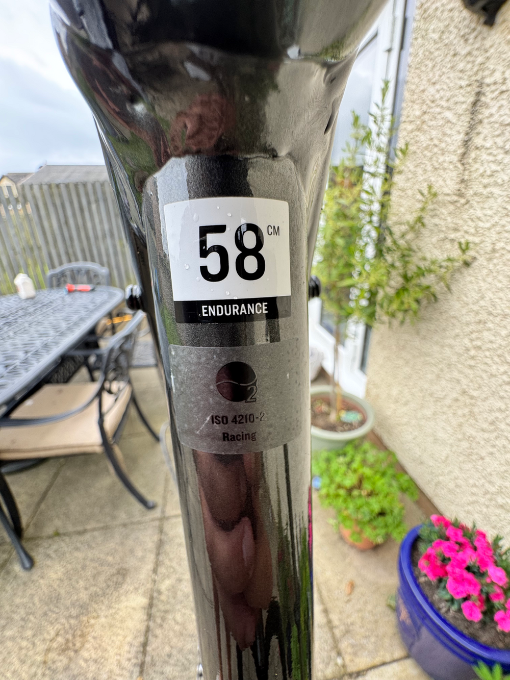 Trek Domane AL 5 Disc 2022