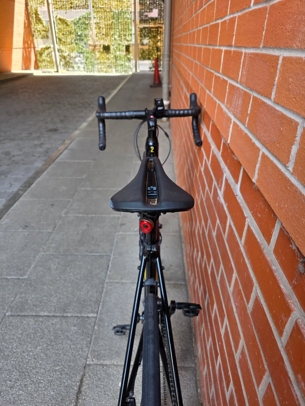 Trek Domane AL 2 2022