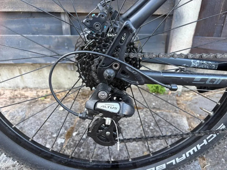 Carrera Vengeance , 2024