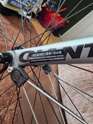 Giant tcx
