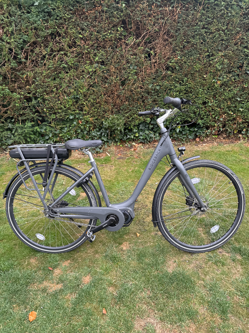 Ridgeback Electron S2 2024