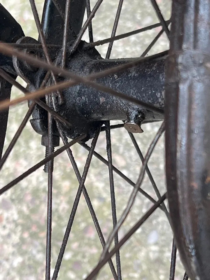 Raleigh Special 2017