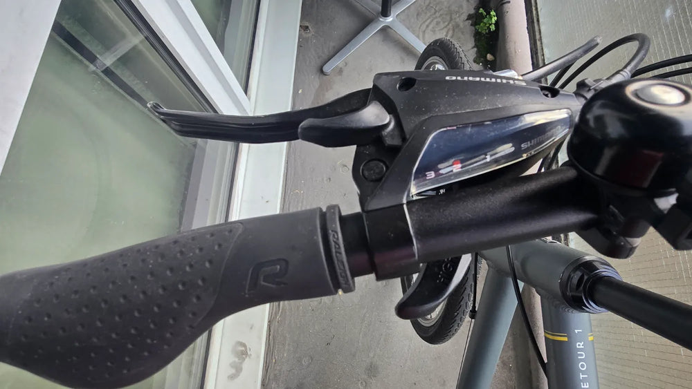 Raleigh Detour 1 2021