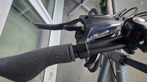 Raleigh Detour 1 2021