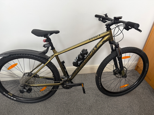 Bergamont Revox 6 2022