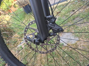 Orbea Laufey H Ltd 29 2021