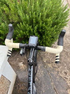 Raleigh Mustang E Comp 2019