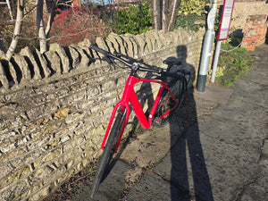 Trek FX+ 2 LT 2024