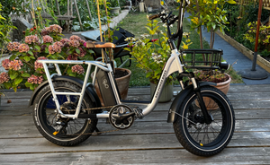 Rad Power RadRunner Plus 2021