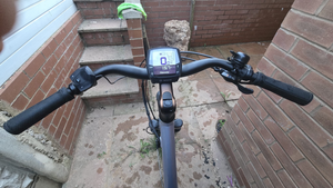 Raleigh Felix Nexus Hub Step Through 2025