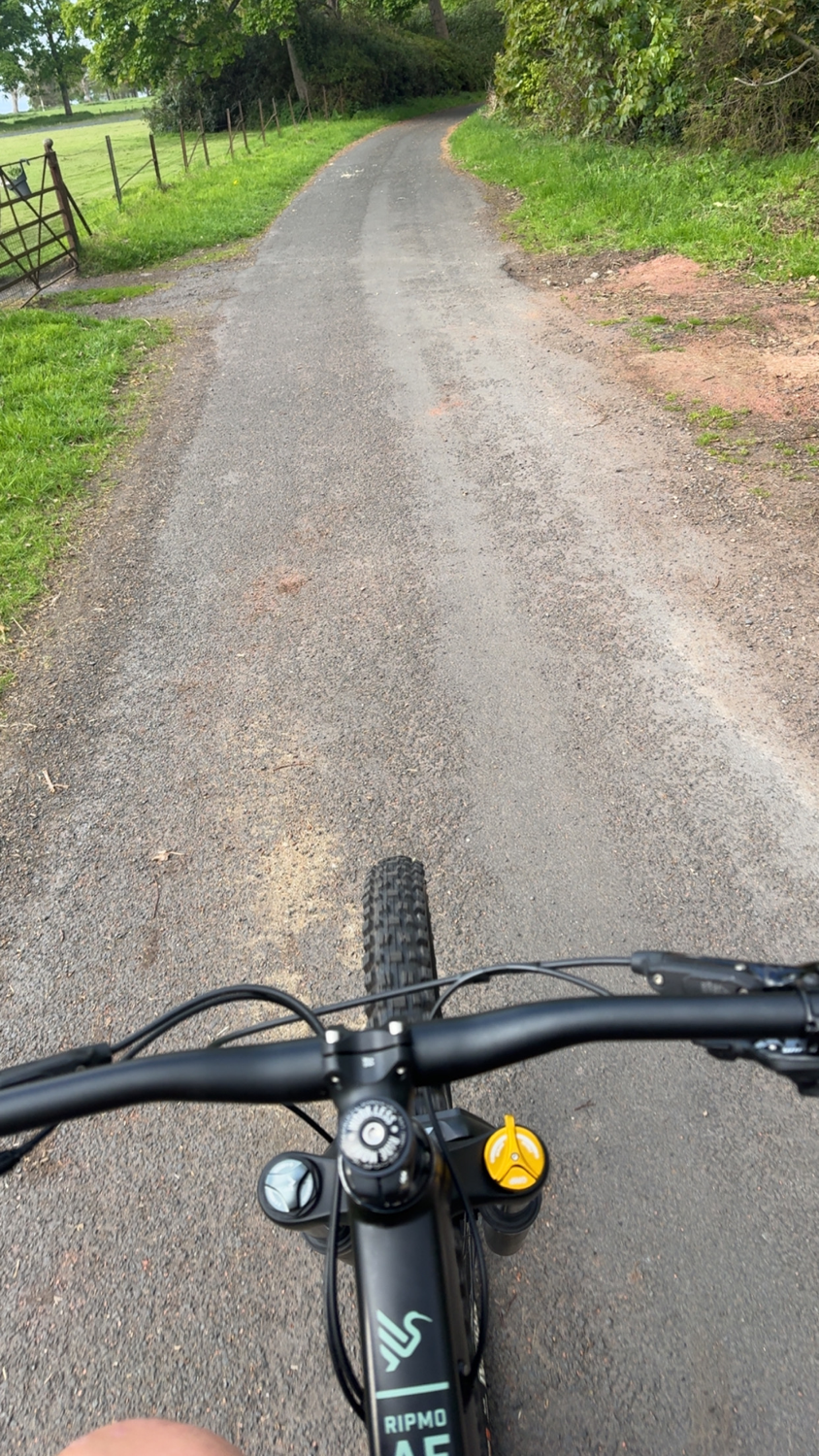 Ibis Ripley AF SLX 2024