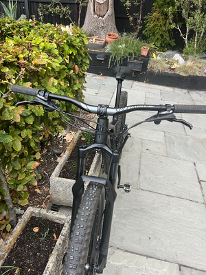 Specialized Stumpjumper 2020