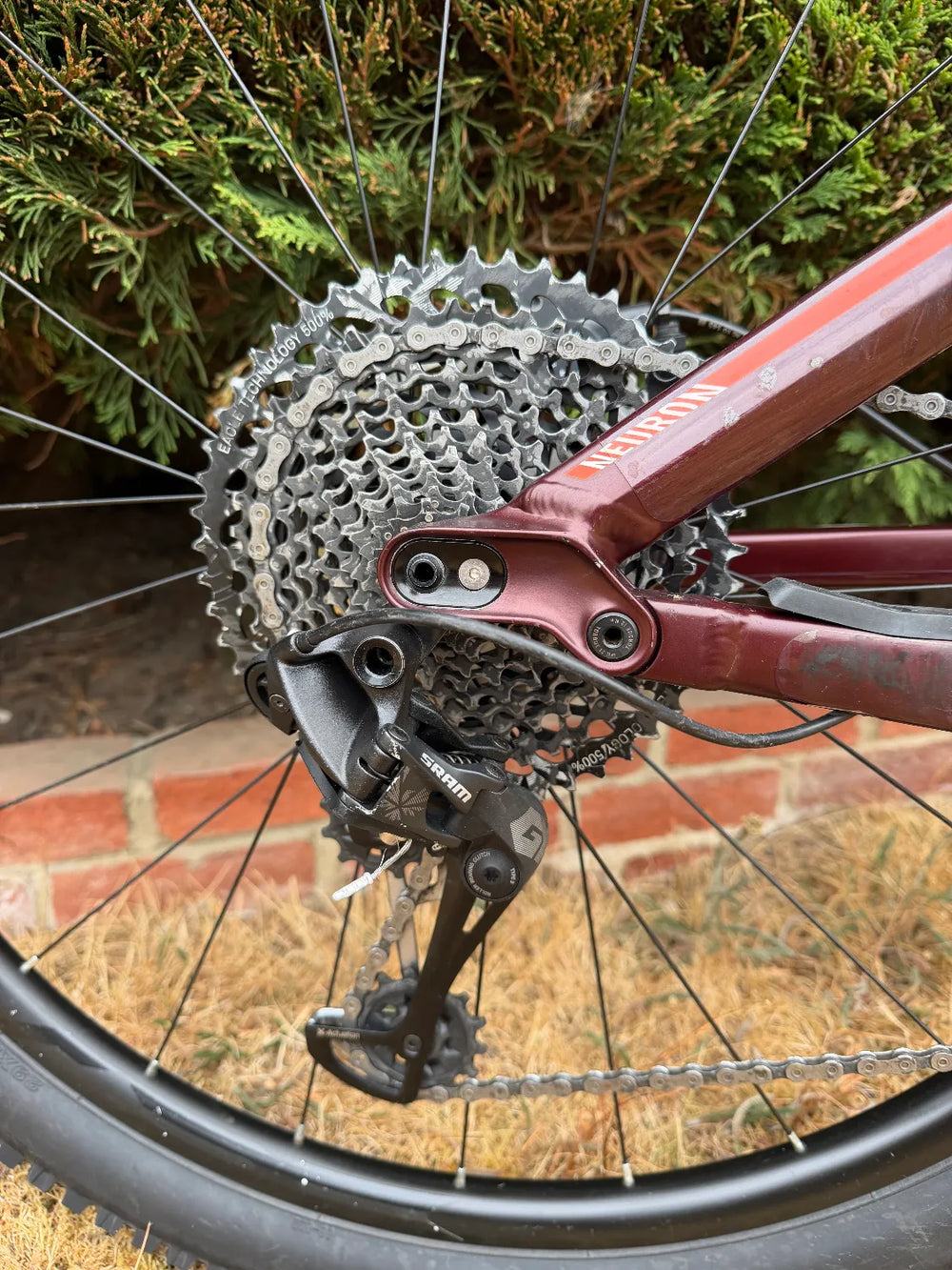 Canyon Neuron AL 7.0 2019