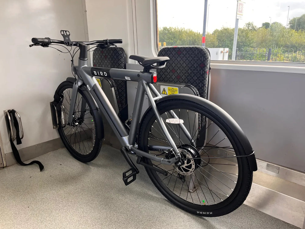 BirdBike A-Frame 2023