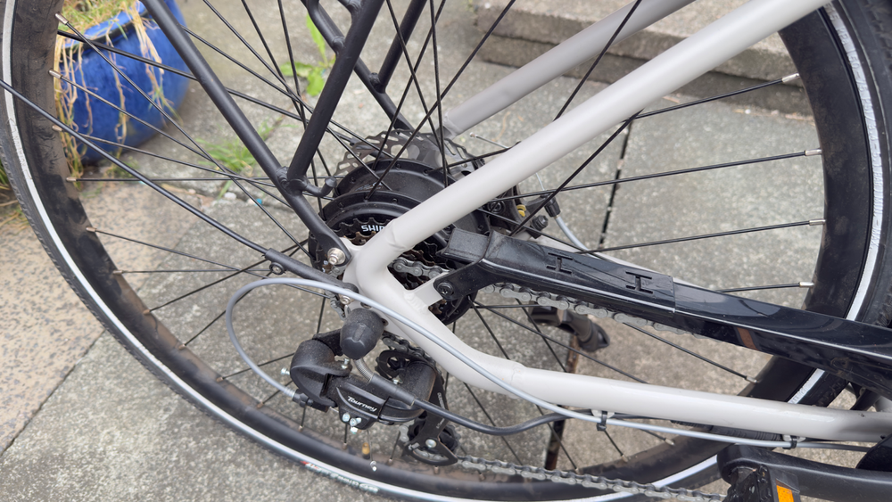 Peddle Step 2025