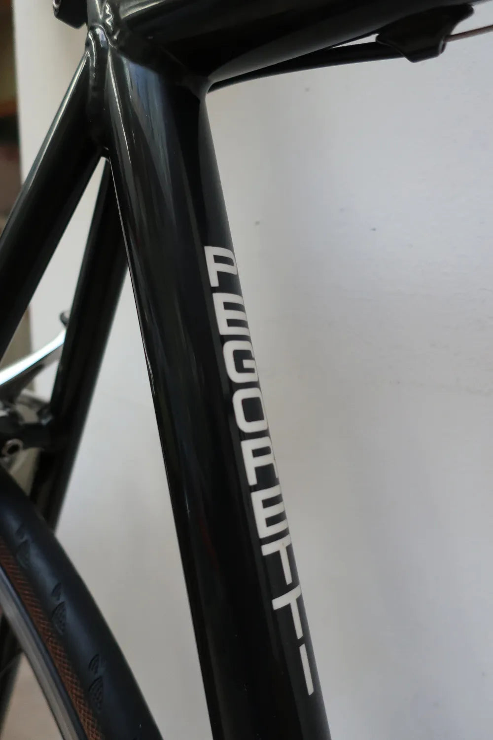 Pegoretti Fina Estampa 2003