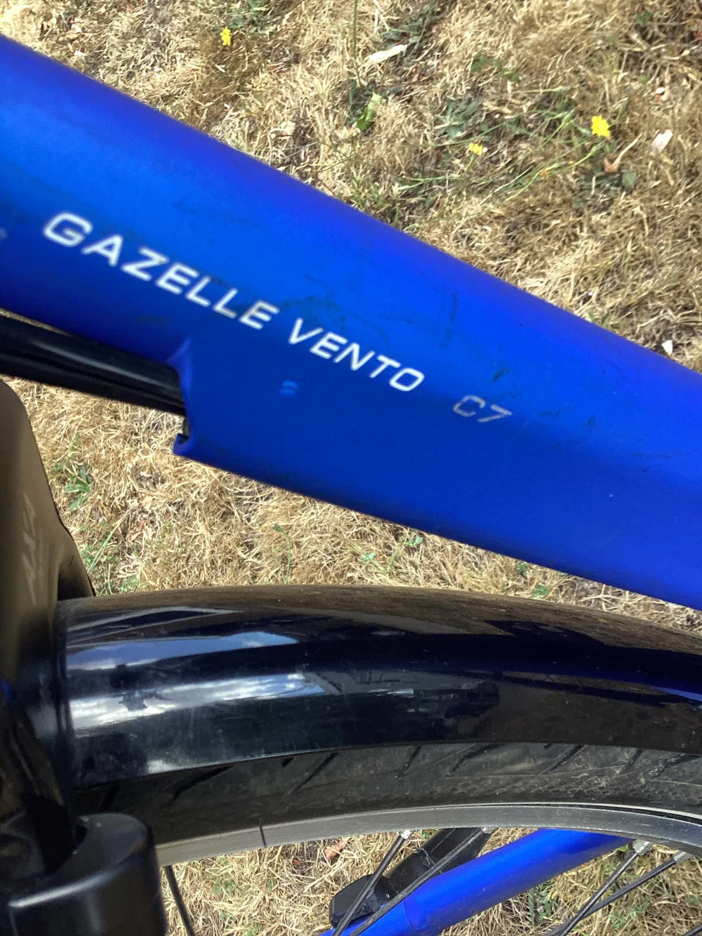 Gazelle Vento C7 High-Step 2018