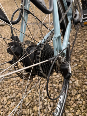 Juicy Roller 2019
