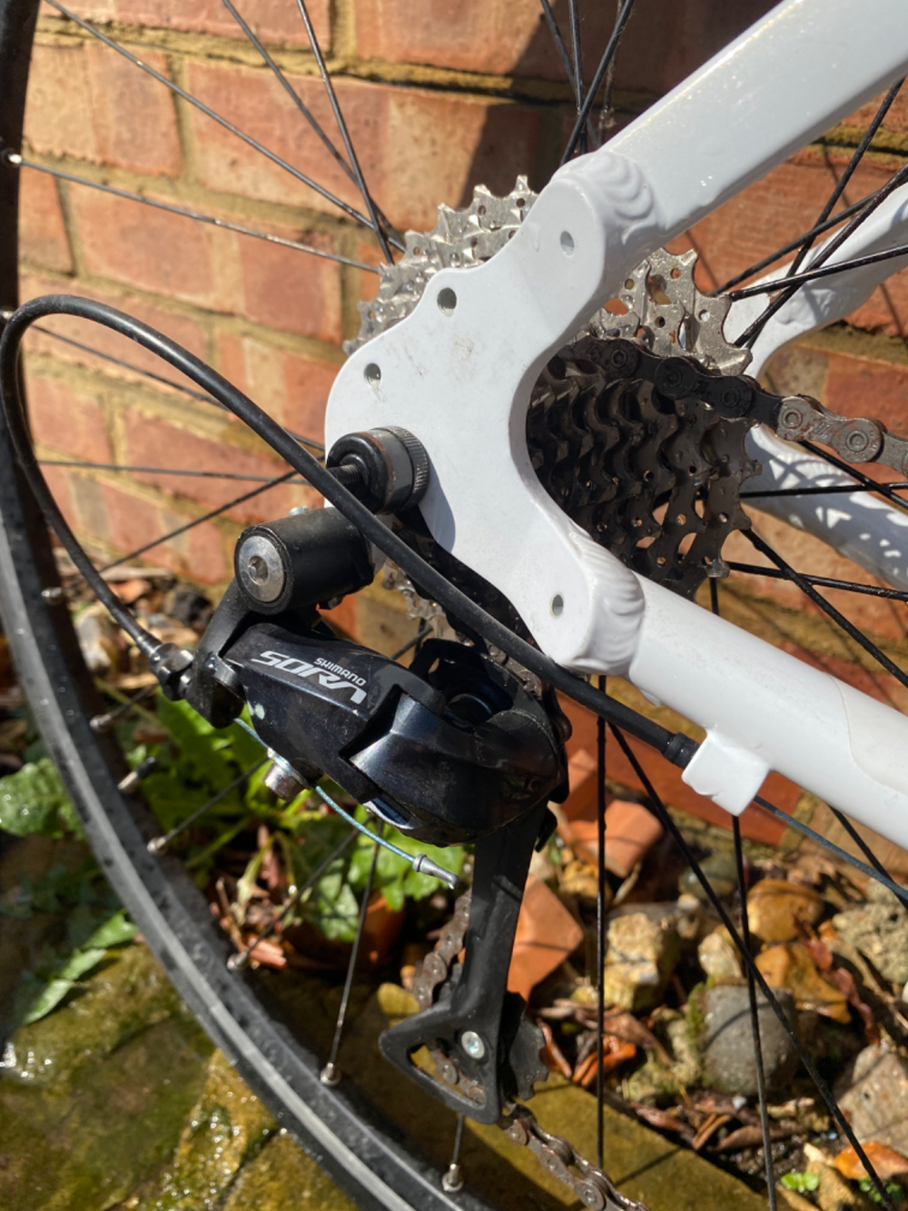 Triban Regular Women's Road Bike 2020