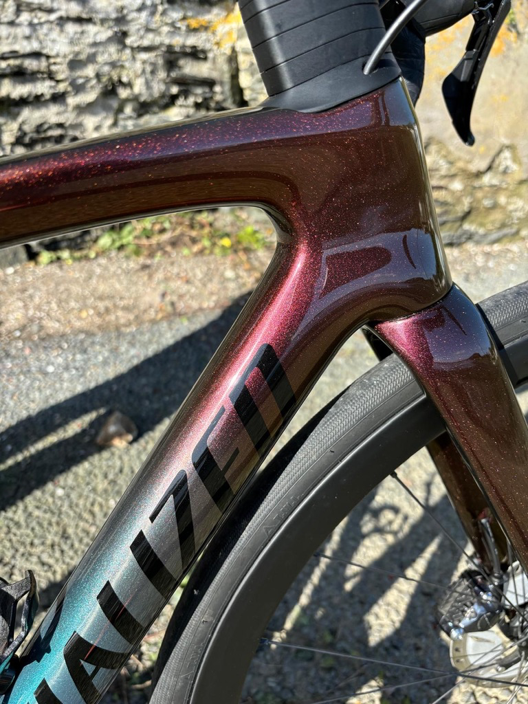 Specialized Tarmac SL7 Expert 2021