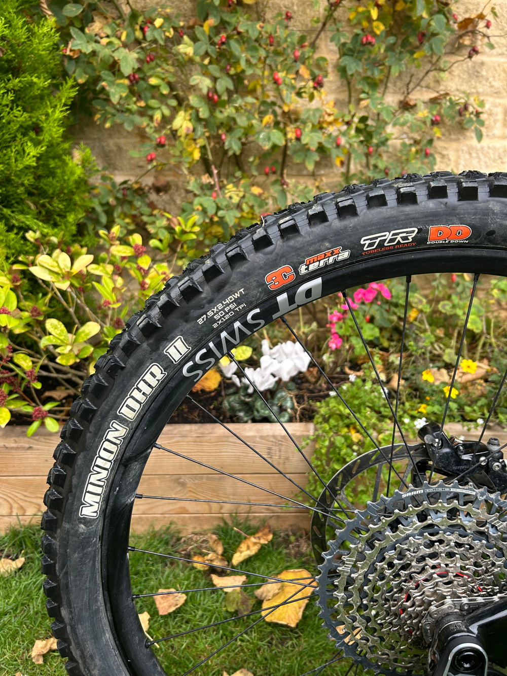 Canyon Torque Mullet CF 9 2023