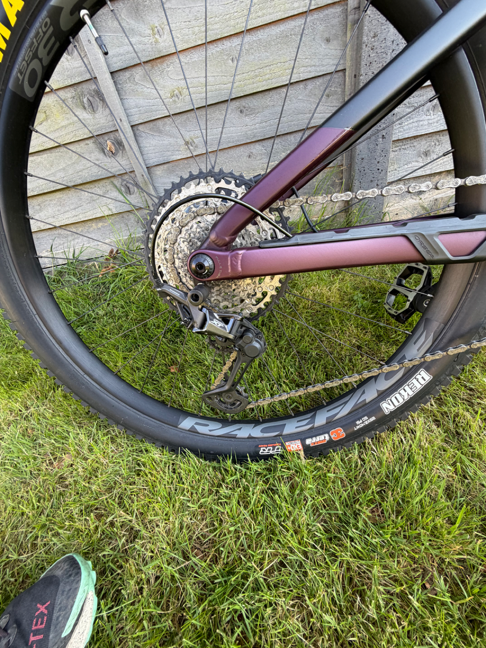 Orbea Rise H15 2022