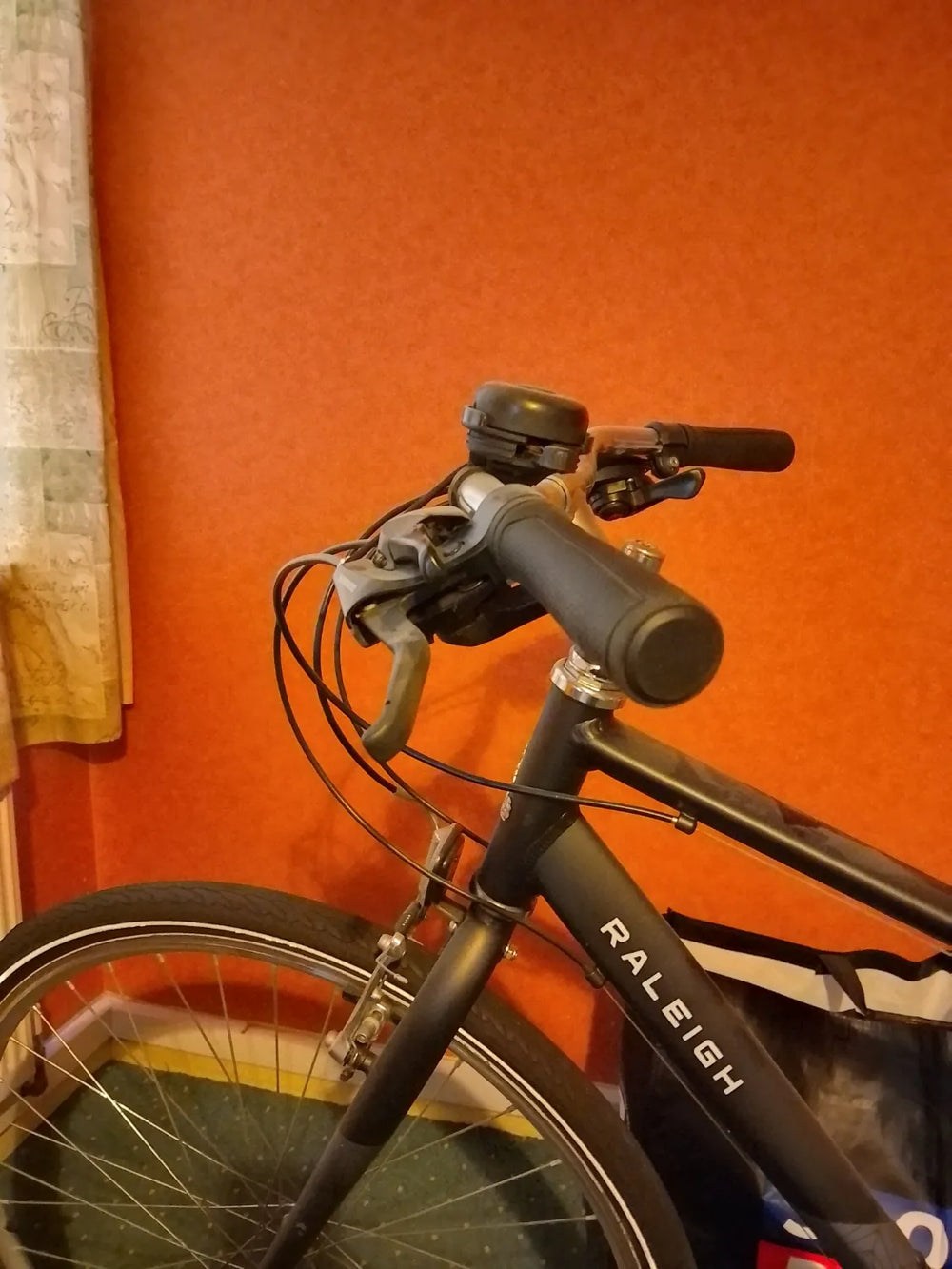 Raligh Pioneer  2024