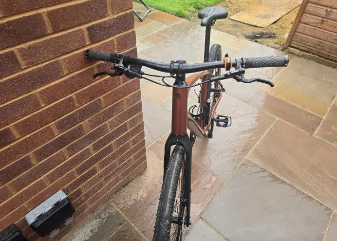 Trek Dual Sport 3 2024