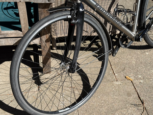 Van Nicholas Amazon Rohloff Speedhub 14-spd belt 2018