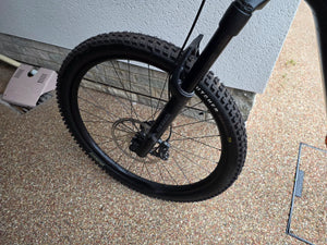 Specialized Levo Alloy G3 2025