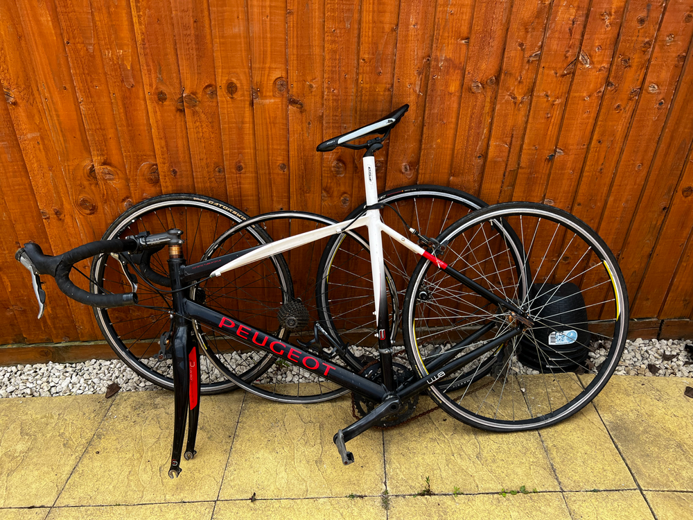 Peugeot R02 Carbon 105 2010