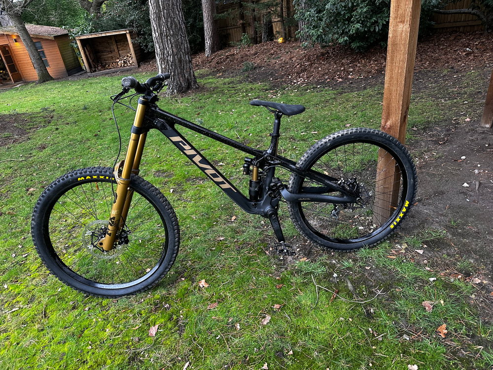 Pivot Phoenix 2025 DH carbon