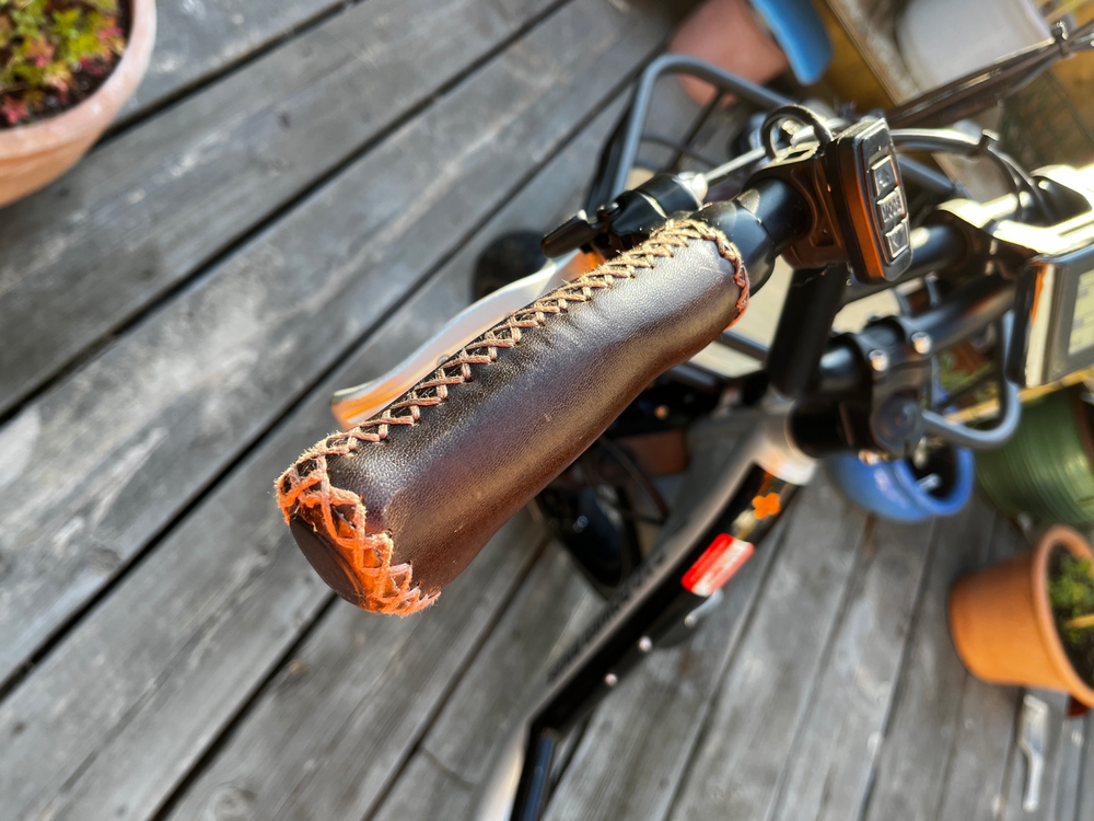 Rad Power RadRunner Plus 2021