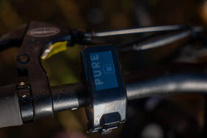 Pure Flux One 2022