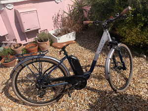 Raleigh Array E Motion Low Step 2022