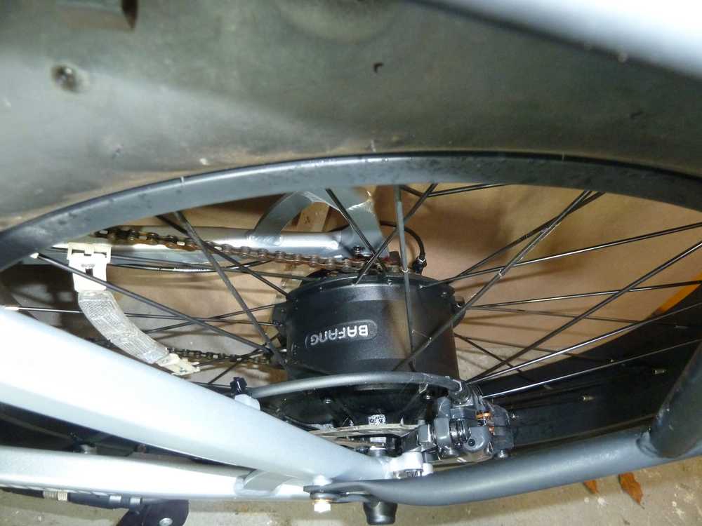 Crazybird Jumper 2025