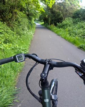 Raleigh Motus Ltd Lowstep Electric 2025