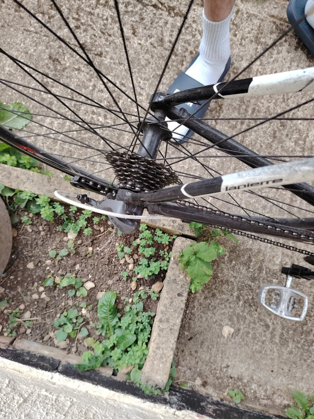 Lapierre AUDACIO 100 WOMEN SERIES CP 2019