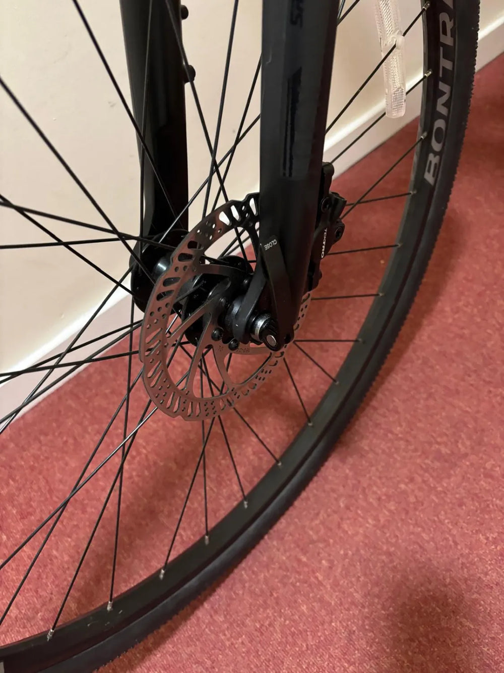 Trek Dual Sport 2 2021