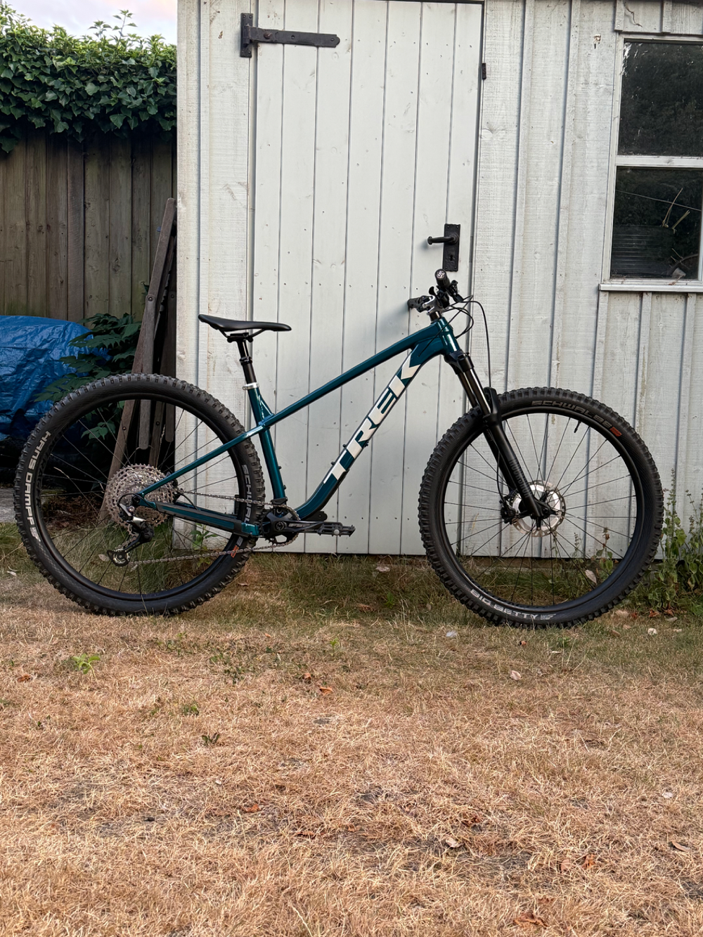 Trek Roscoe 7 2024