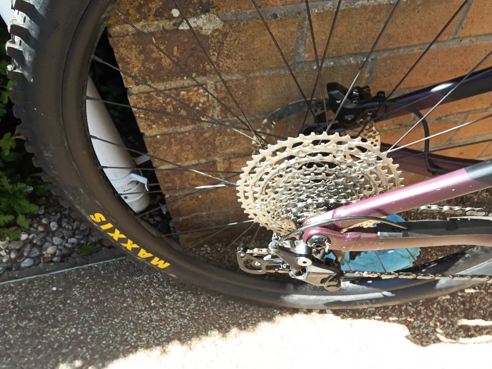 Orbea Rise H15 2022
