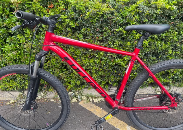 Carrera Valour Disc 2022