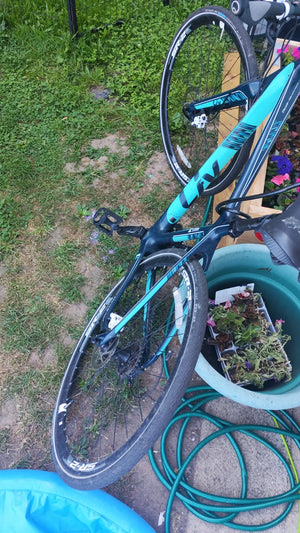 Giant Thrive 2 2015
