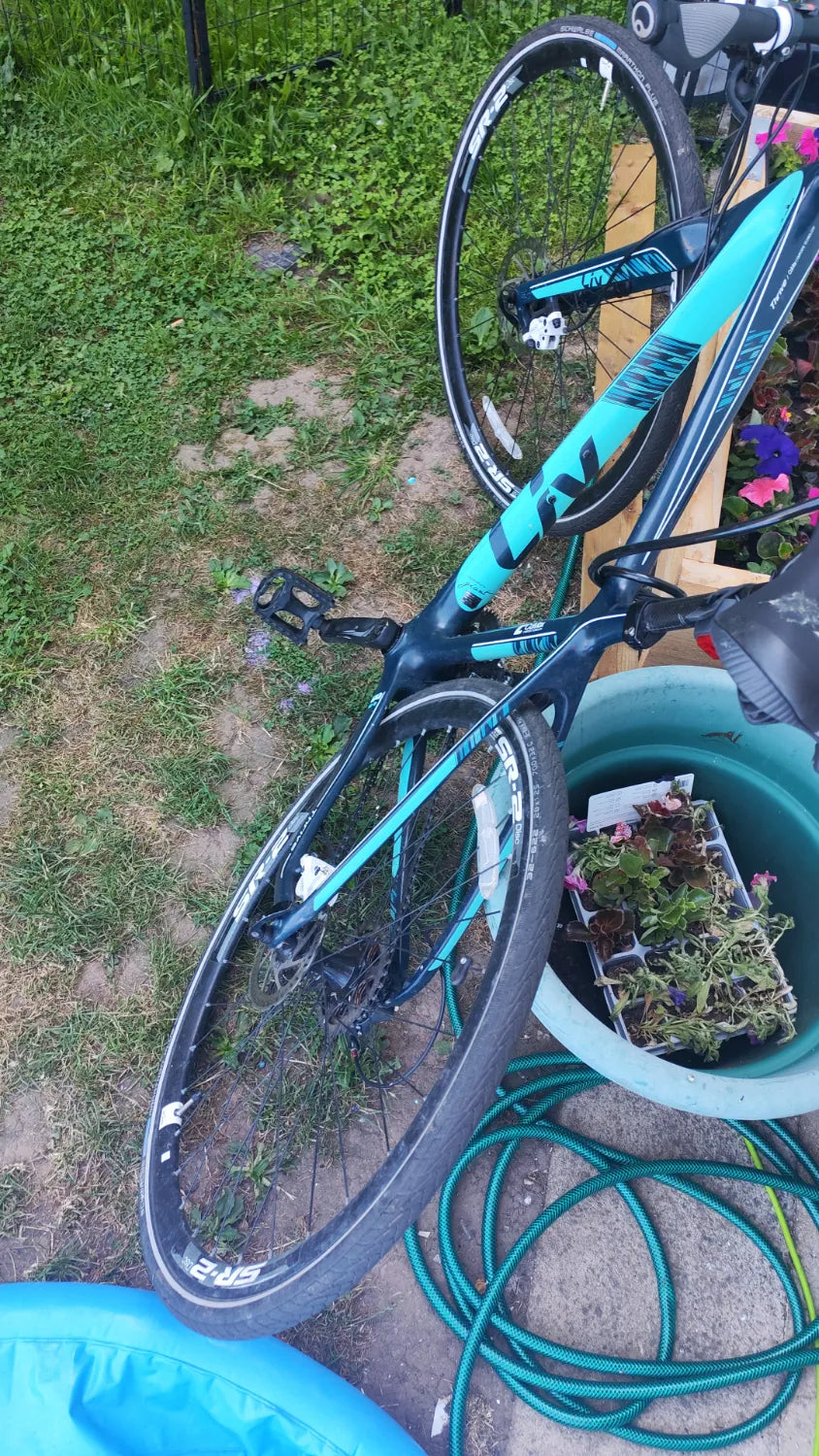 Giant Thrive 2 2015