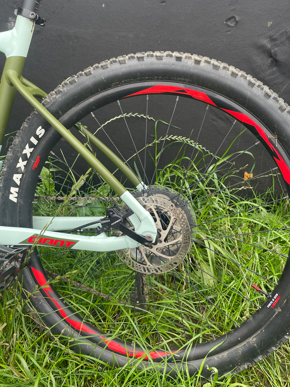 Giant Fathom 2 2019