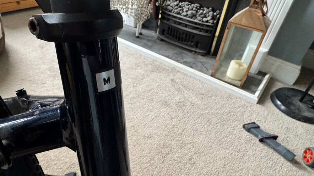 Momentum Transend E+ Mid-Step 2022