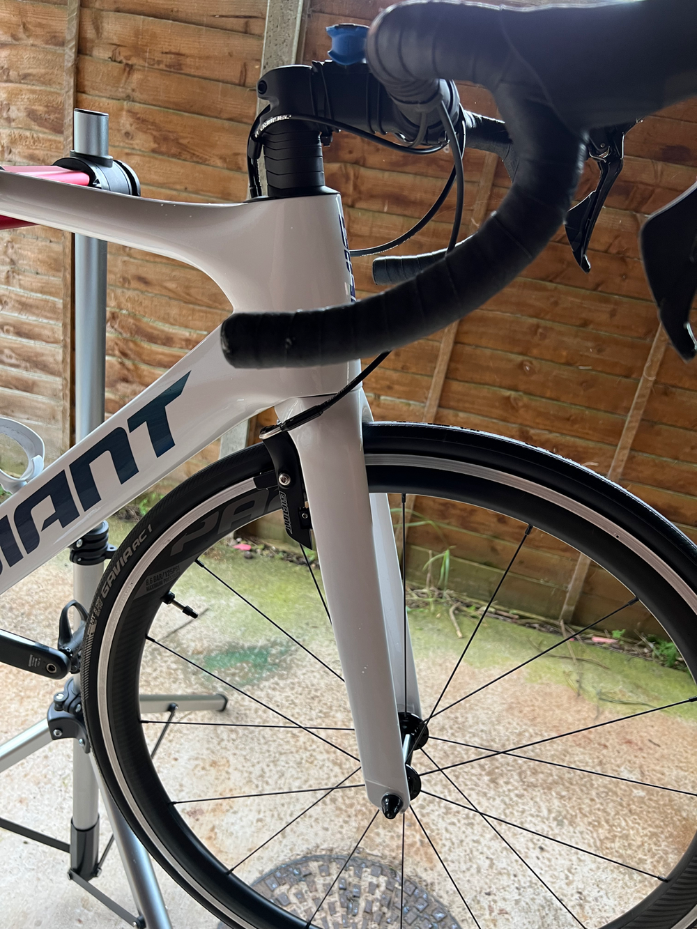 Giant Propel Advanced 1 2020
