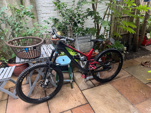 Canyon Torque CF 8.0 2019